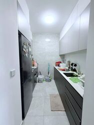 Stirling Residences (D3), Apartment #585667401